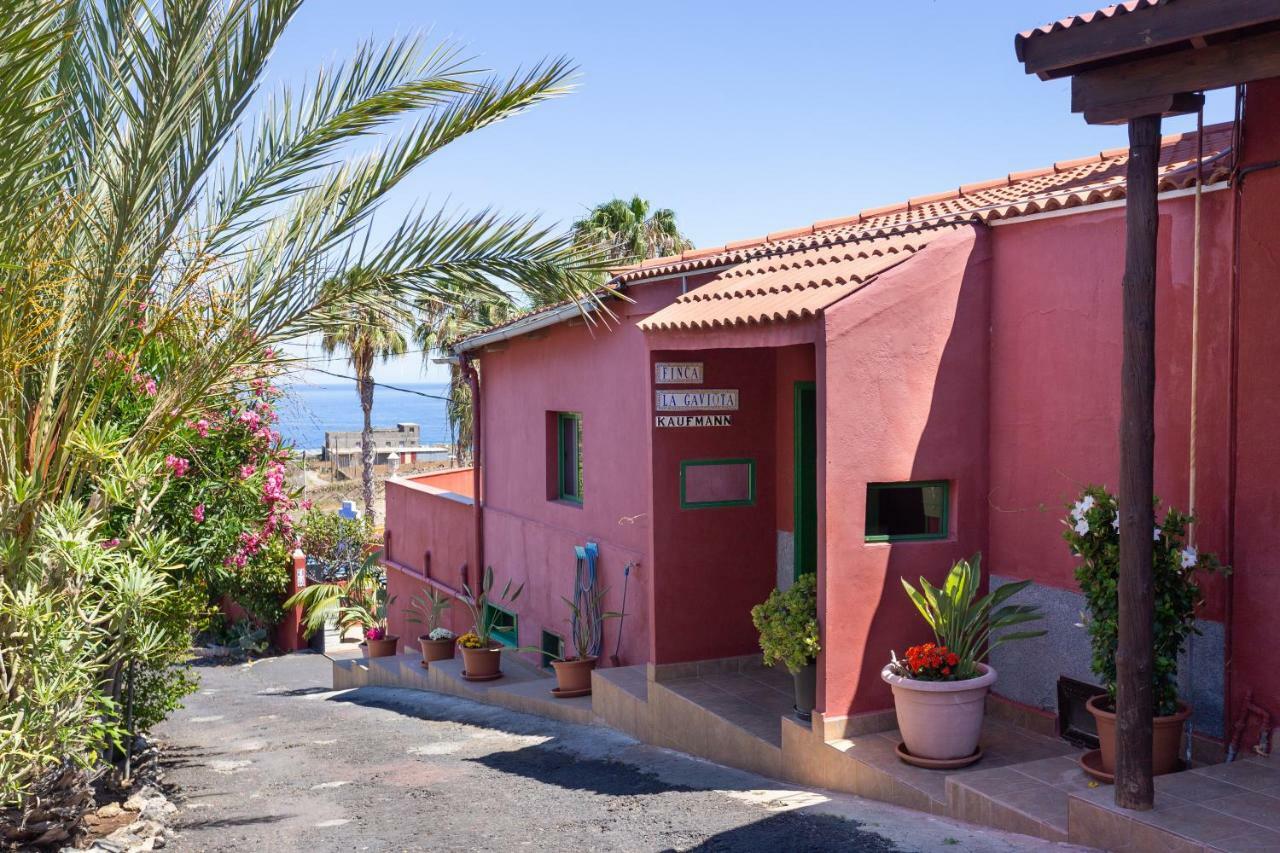 Finca La Gaviota - El Granito イコー・デ・ロス・ビノス エクステリア 写真
